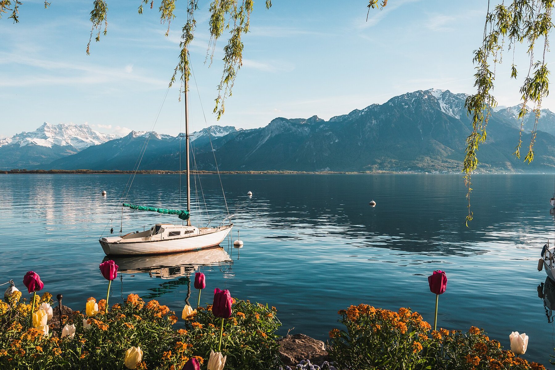 Sailing boat on Lake Geneva at Montreux, facing the Alps