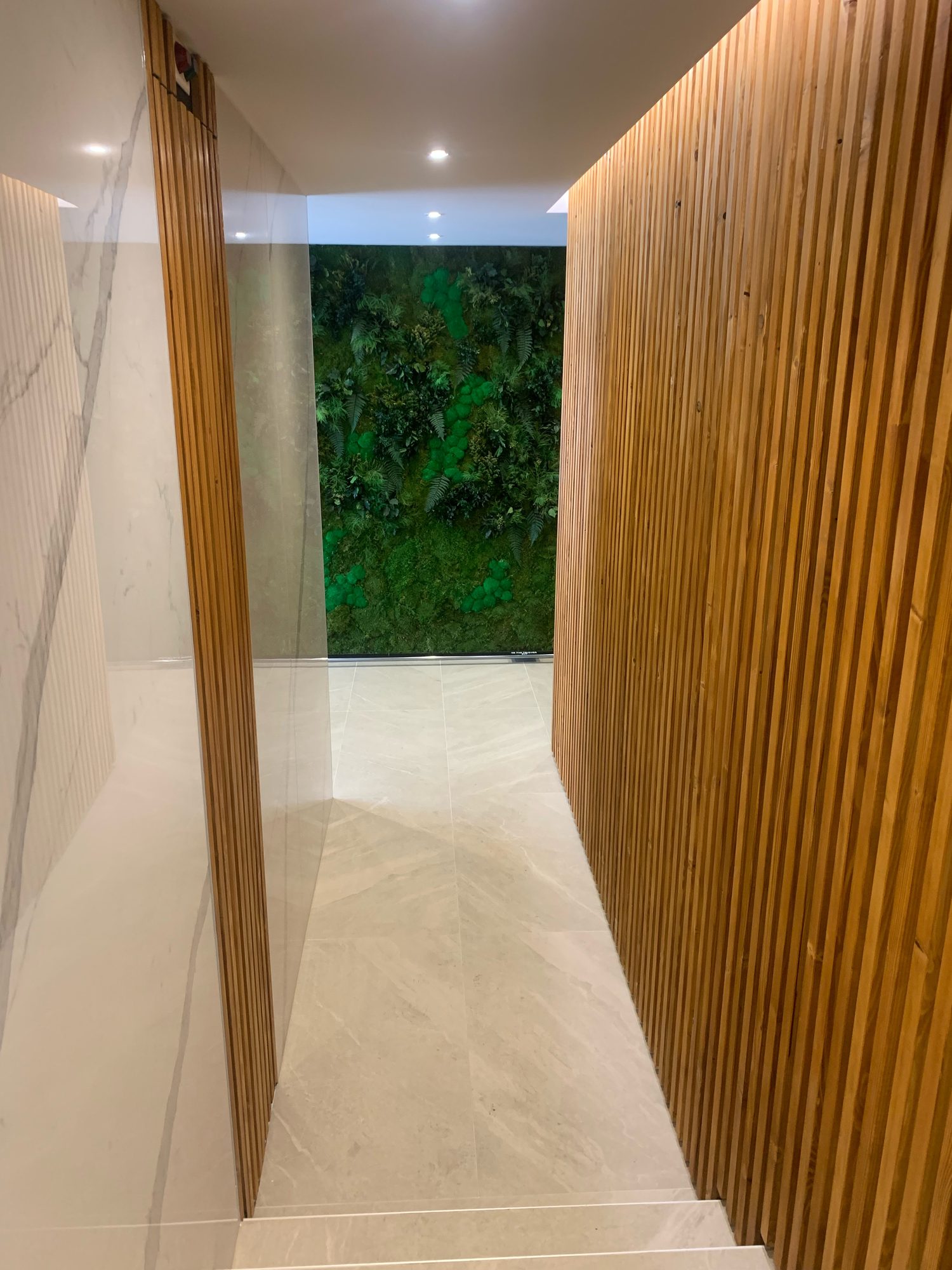 Vertical wooden slats and green wall
